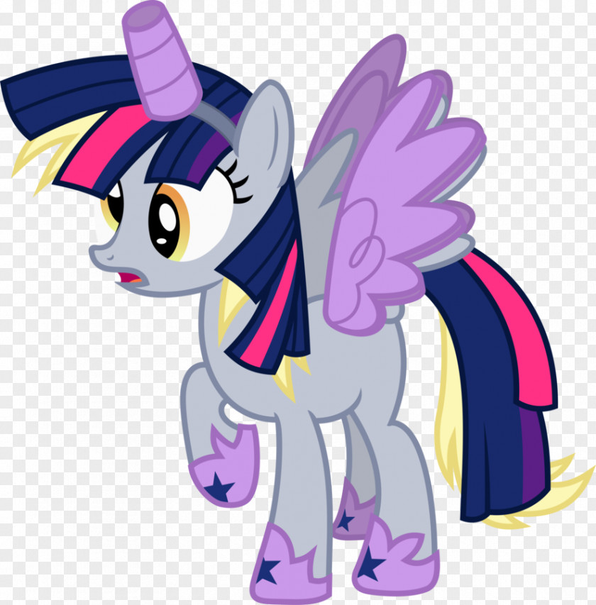 Twilight Derpy Hooves Sparkle Rarity Applejack Rainbow Dash PNG