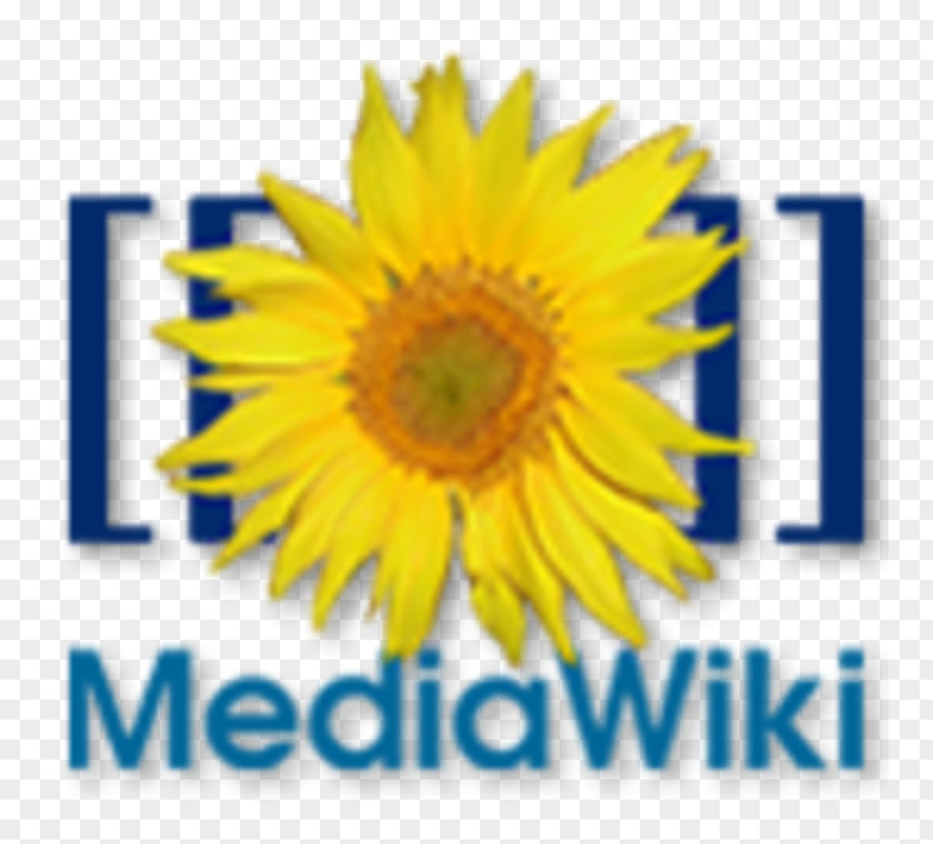 World Wide Web MediaWiki Wiki Software Computer Wikimedia Foundation PNG