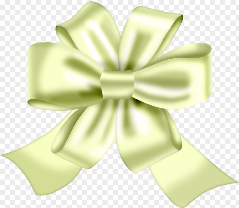Bow Flowers Ribbon Clip Art PNG