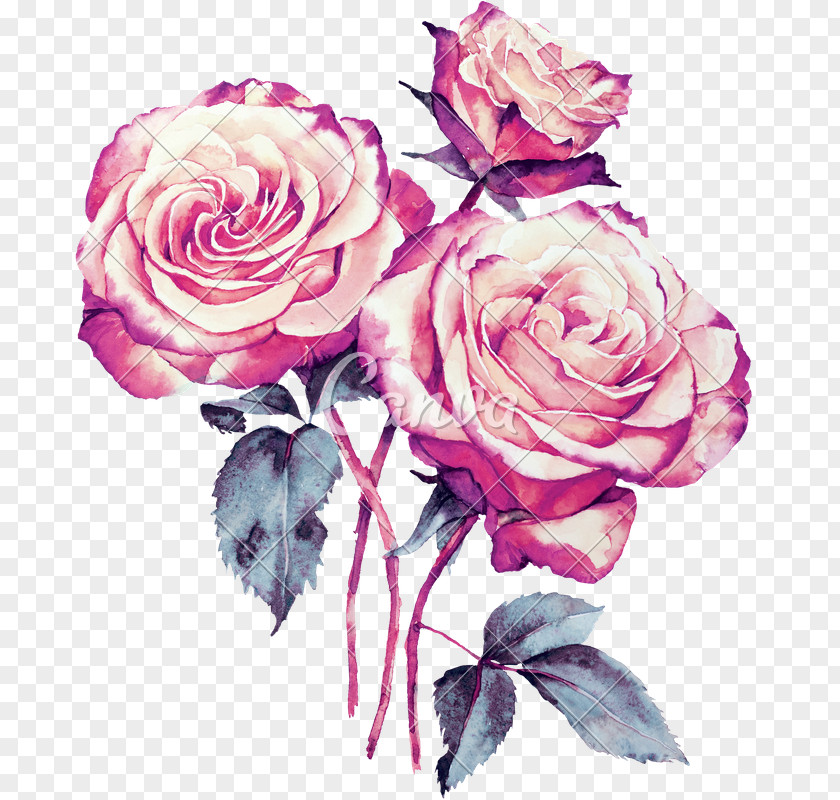 Camellia China Rose Bouquet Of Flowers Drawing PNG