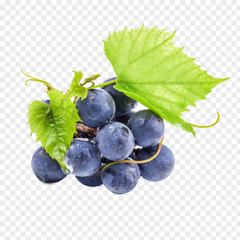 Grape Wine Oolong Seed Extract Proanthocyanidin PNG