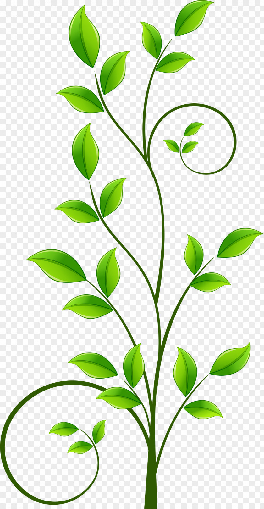 Green Leaf Pattern Download Illustration PNG