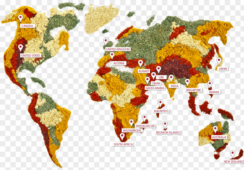 Herbs Spice World Map Food Herb PNG