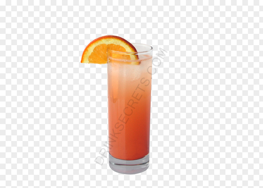 Mulled Wine Orange Juice Bay Breeze Cocktail Garnish Alabama Slammer PNG