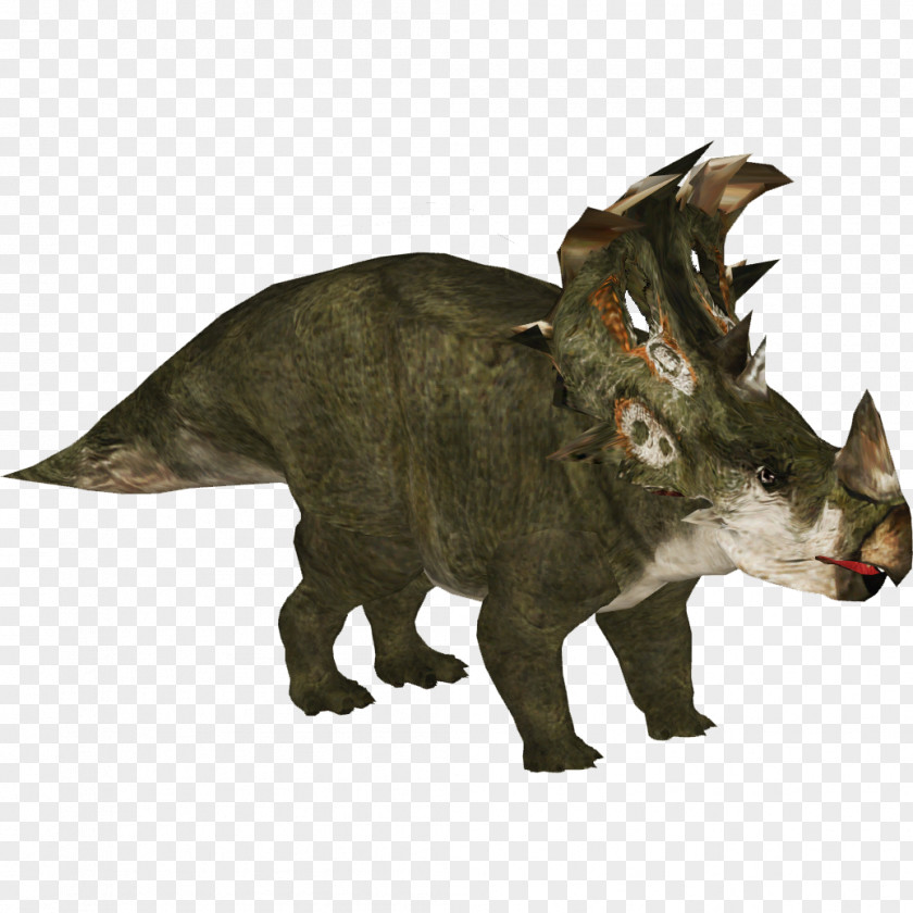 Triceratops Animal Figure Animals Cartoon PNG