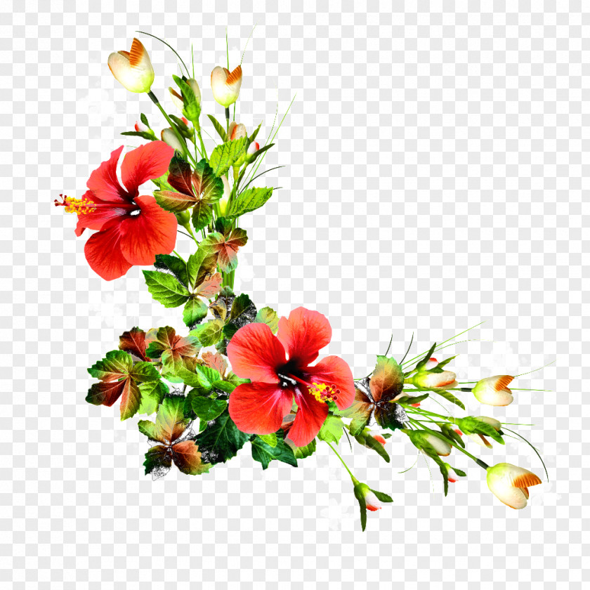Flower Floral Design Cut Flowers PNG