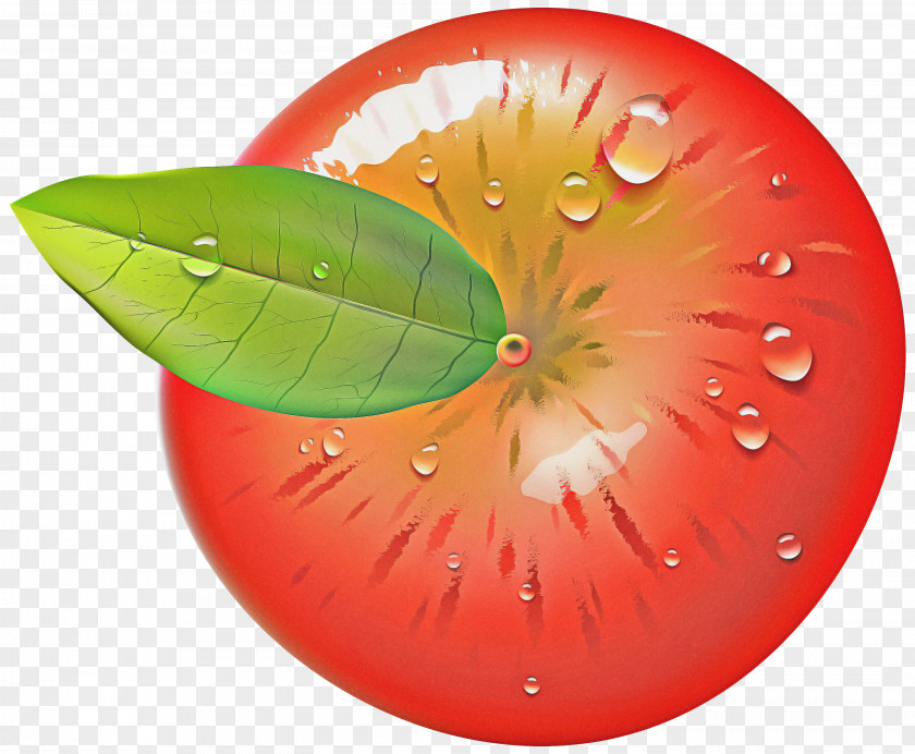 Food Seedless Fruit Cartoon PNG