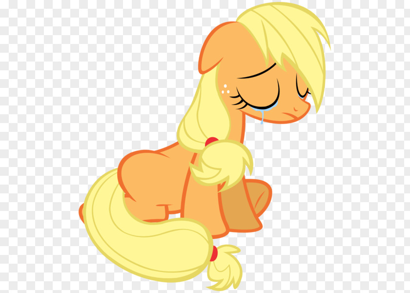 Applejack Rainbow Dash Pony Fluttershy Sadness PNG