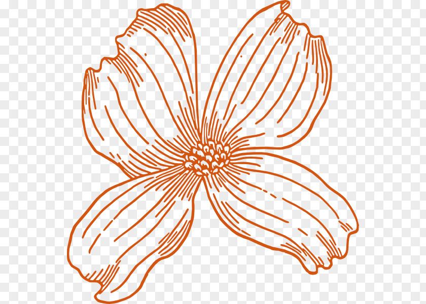 Burnt Orange Flowers Flowering Dogwood Christian Clip Art Pacific Vector Graphics PNG