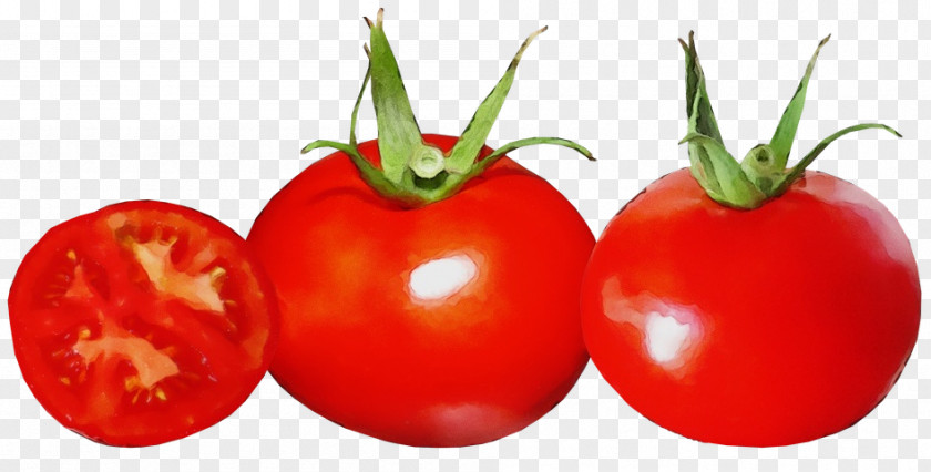 Nutraceutical Whole Food Tomato Cartoon PNG