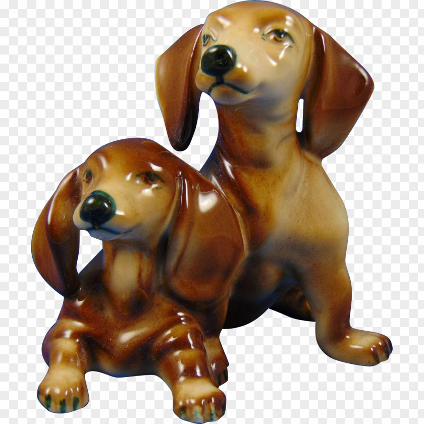 Puppy Dachshund Dog Breed Companion Snout PNG