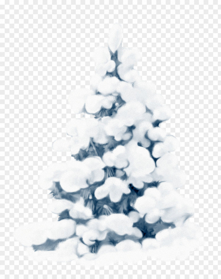 Winter Facebook Christmas Snowman Social Media Desktop Wallpaper PNG