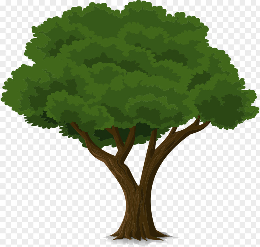 Animation Tree Clip Art PNG