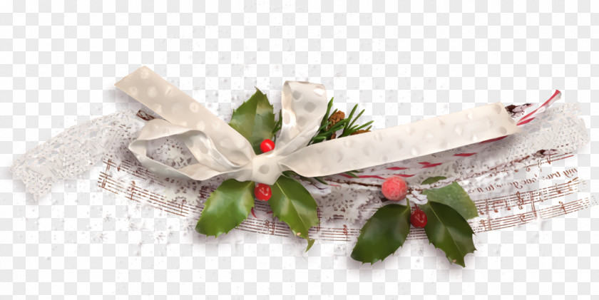 Cut Flowers Branch Christmas Holly Ilex PNG