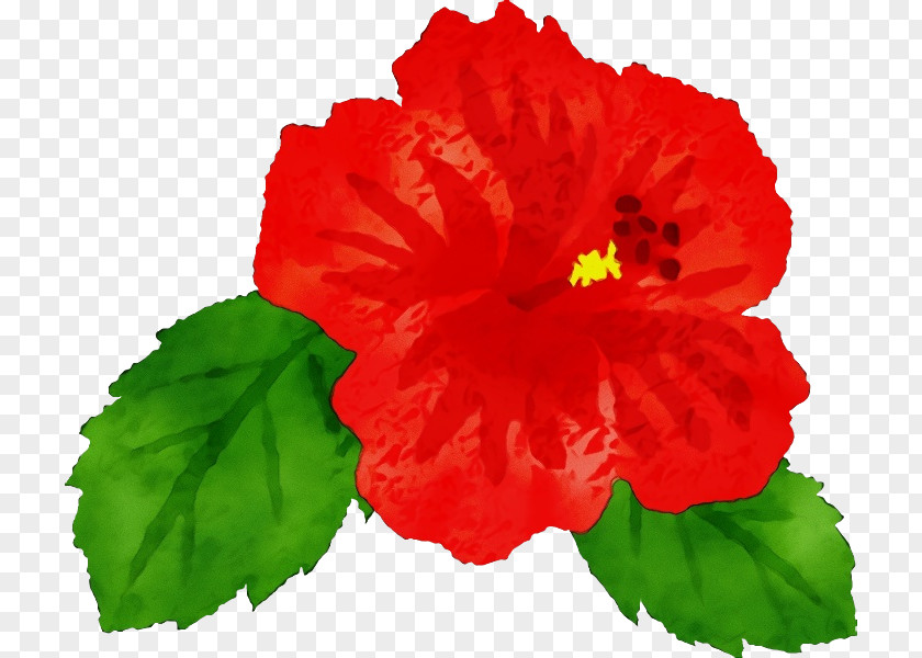 Flower Hawaiian Hibiscus Petal Red PNG