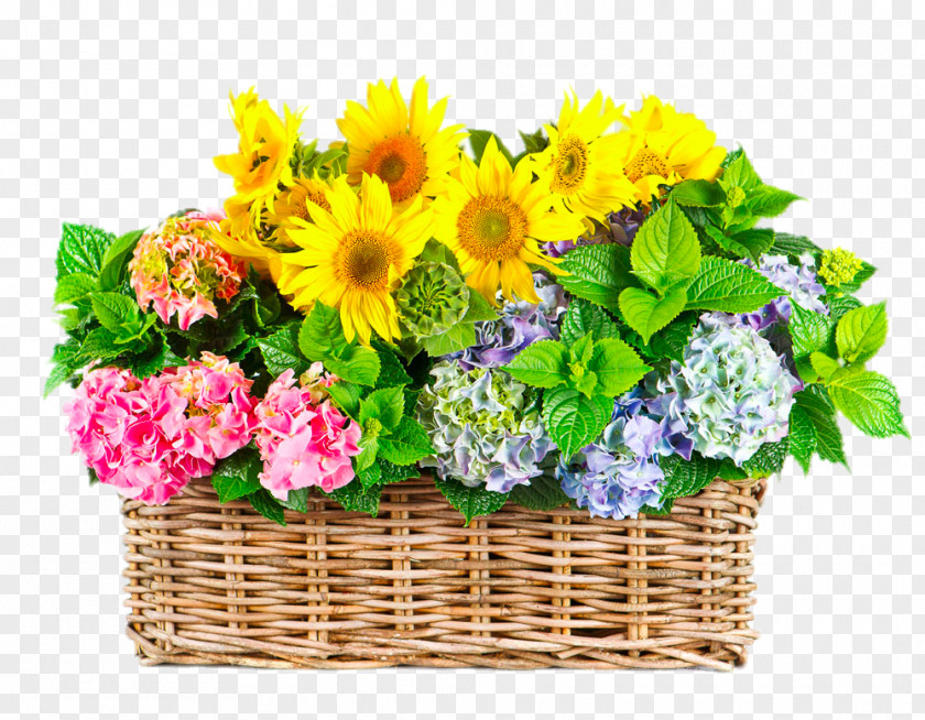 Gerbera Basket Flower Gratitude Floristry Stock Photography Royalty-free PNG