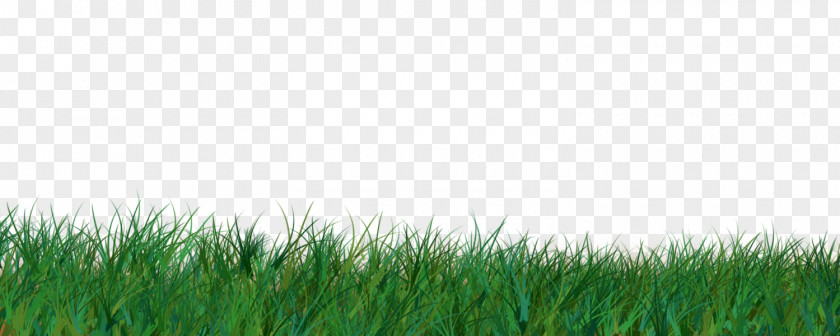Grass Easter Bunny Egg Eastertide Clip Art PNG