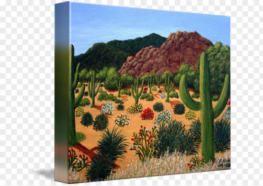 Painting Cactaceae Canvas Print Landscape PNG