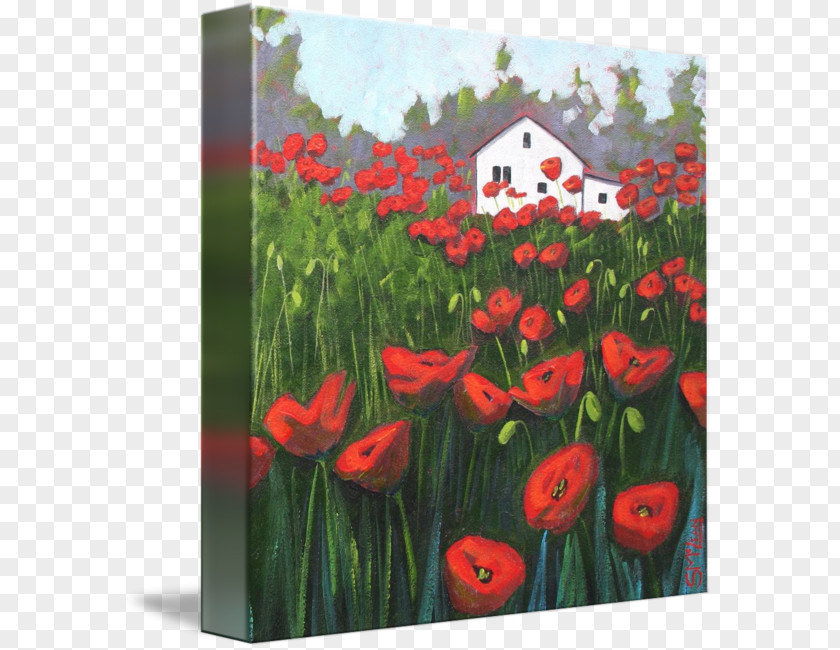 Poppy Field Tulip Painting Acrylic Paint Gallery Wrap PNG