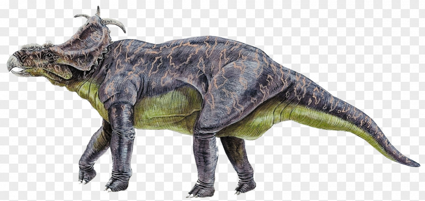 Cretaceous Dinosaur Stegosaurus Reptile Velociraptor Pachyrhinosaurus PNG