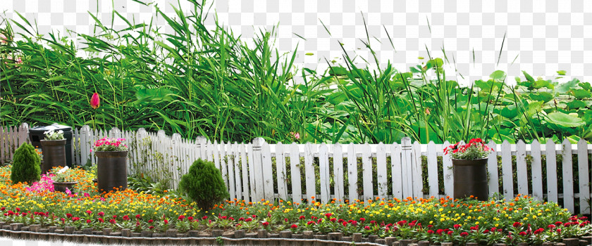 Landscape Plants Garden Plant Clip Art PNG