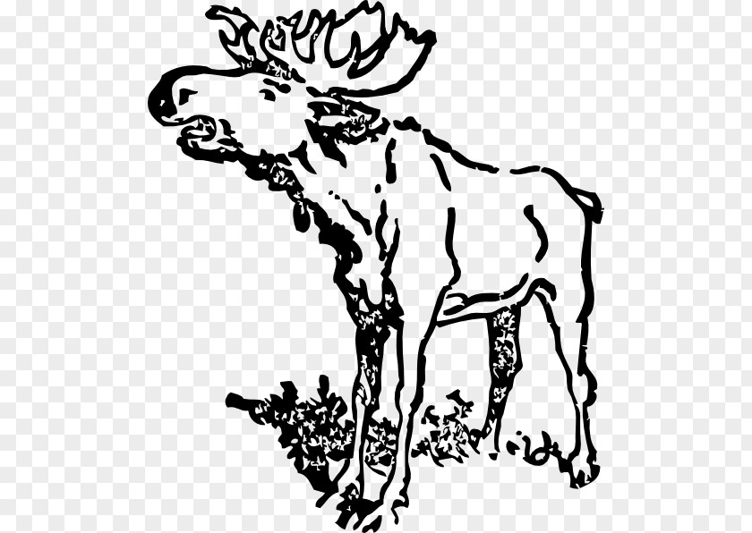 Moose Cliparts Black Drawing And White Clip Art PNG