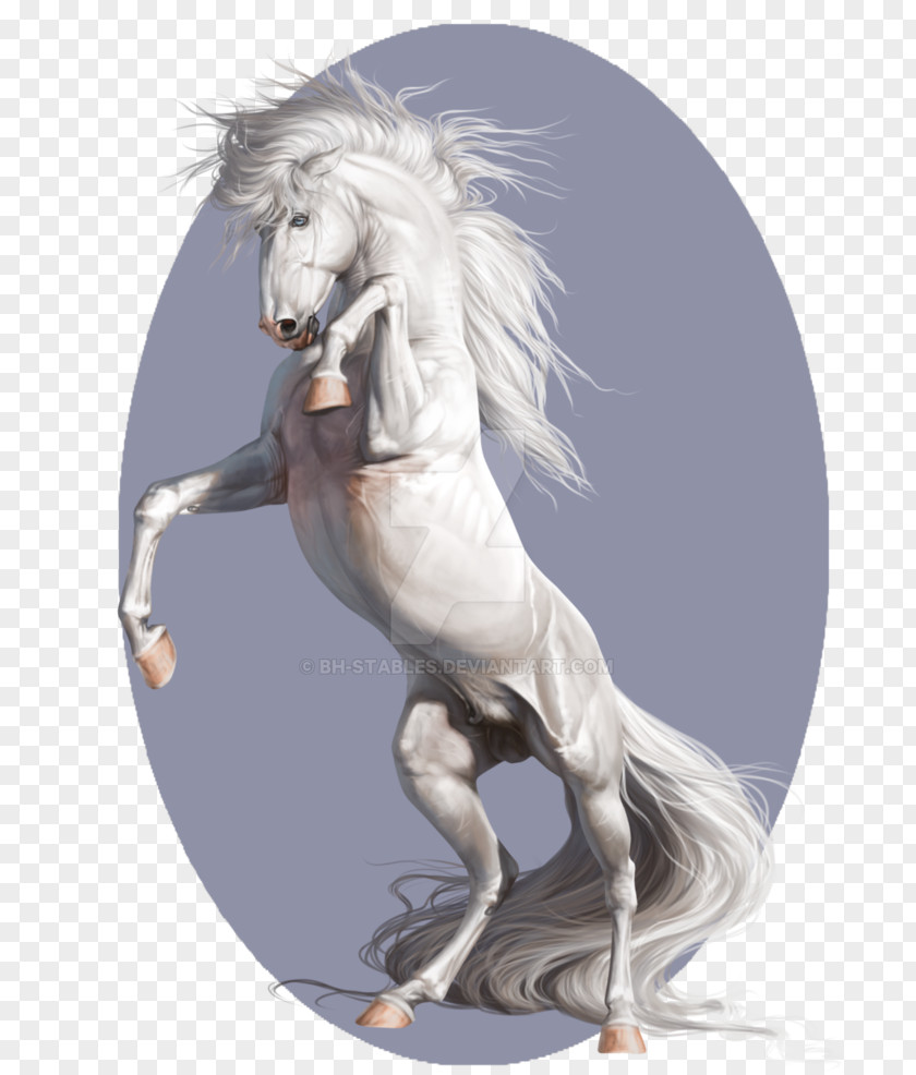 Mustang Stallion Artist Pony PNG