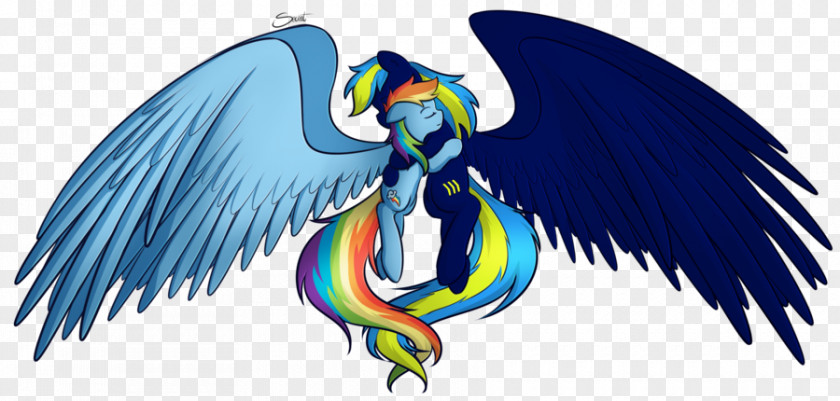 My Little Pony Rainbow Dash Princess Cadance PNG