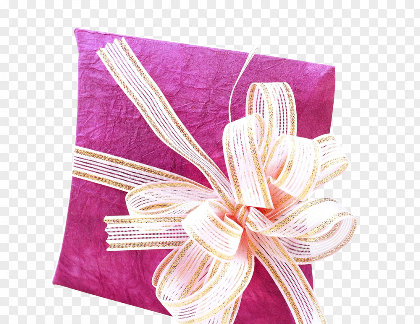 Pretty Bow Gift Packaging And Labeling Box Ribbon Shoelace Knot PNG