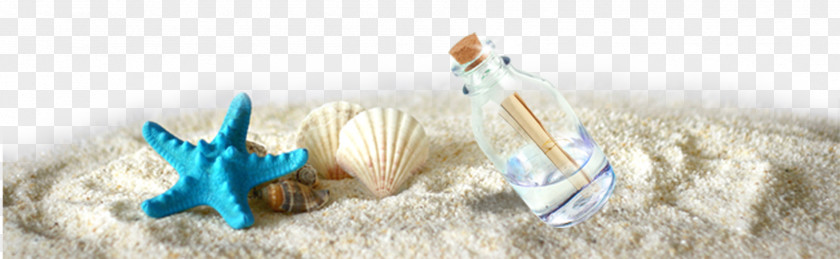A Drift Bottle Beside The Starfish Shells On Sand Poster Tourism Template PNG