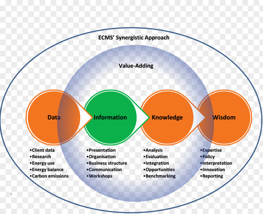 Application Of Knowledge Web Analytics Organization Brand Font Line PNG