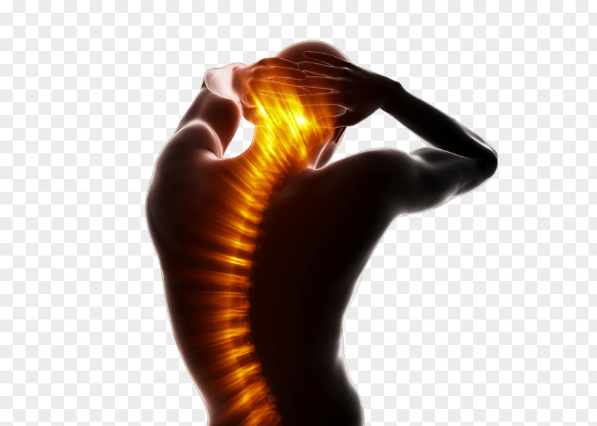 Back Pain Massage Chiropractic Therapy Surgery Neck PNG