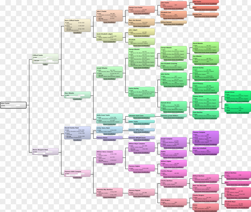 Brothers Ancestor Family Tree Chart Sister PNG