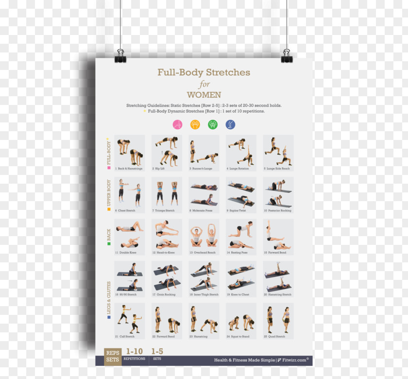 Dumbbell Bodyweight Exercise Stretching Bands Balls PNG