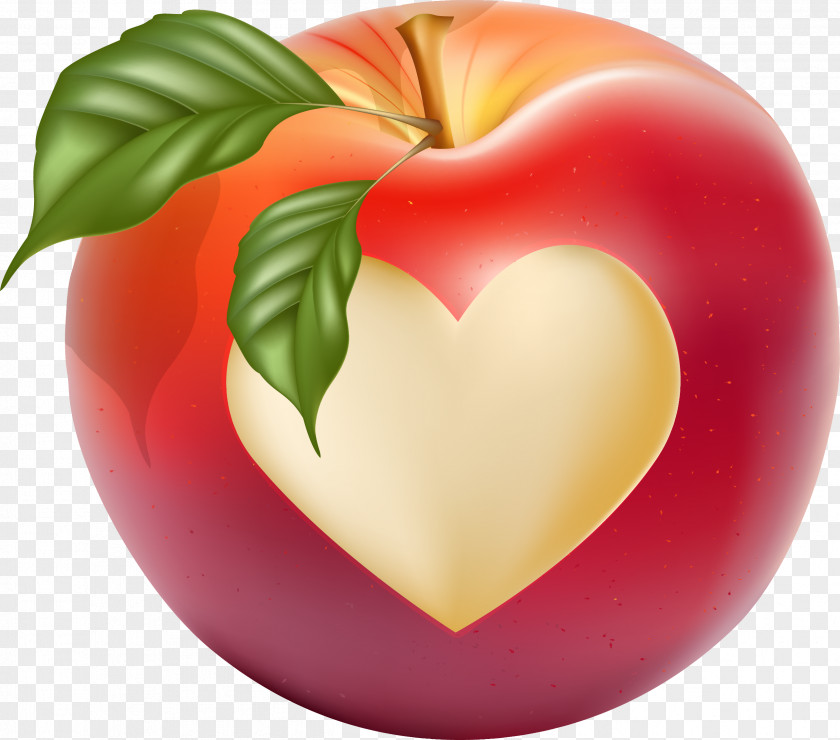Hand Drawn Vector Love Apple Heart Drawing PNG