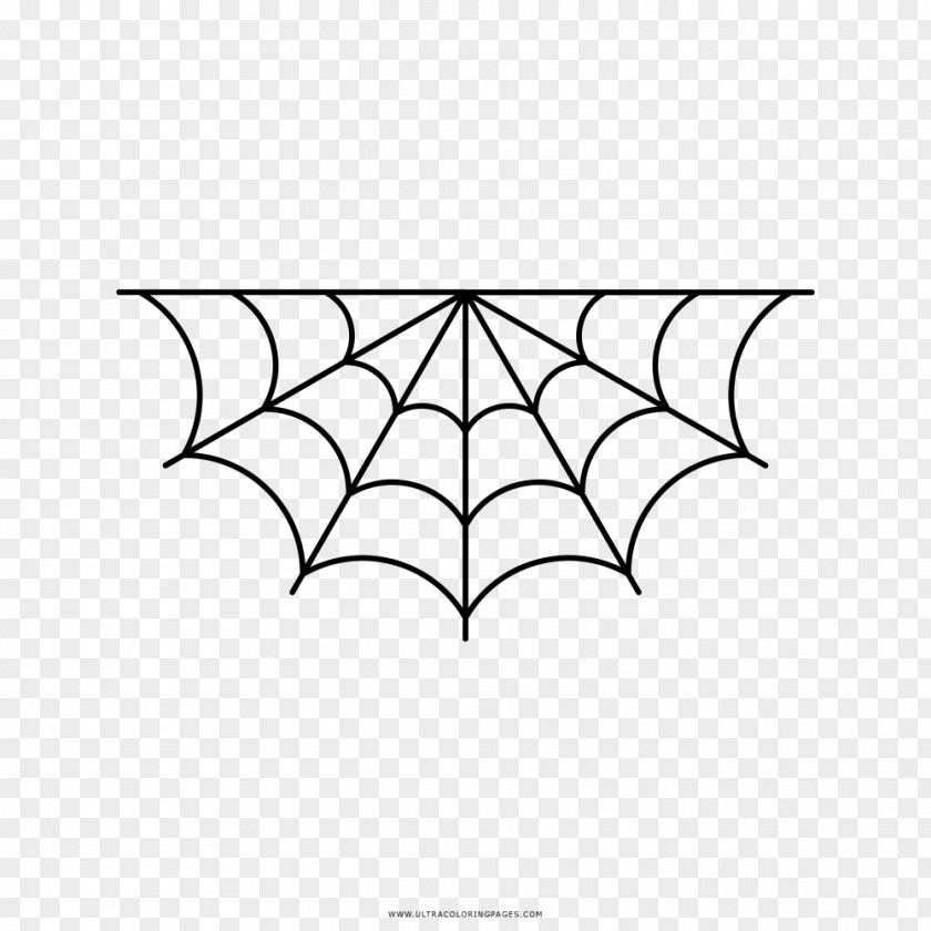 Spider Web Clip Art PNG