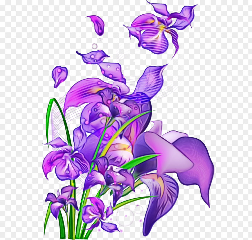 Bellflower Family Petal Flower Violet Purple Plant Flowering PNG