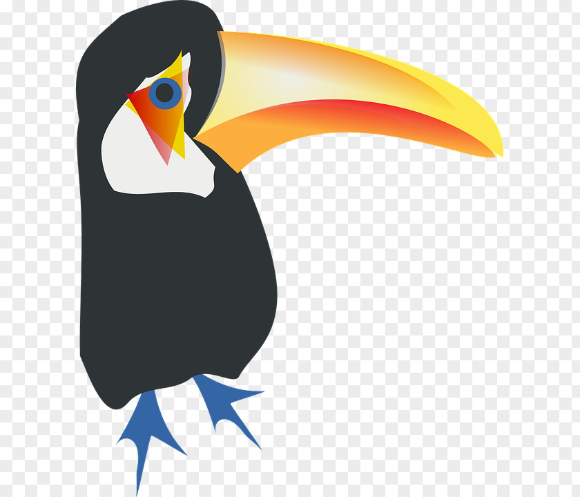 Bird Toco Toucan Parrot Clip Art PNG
