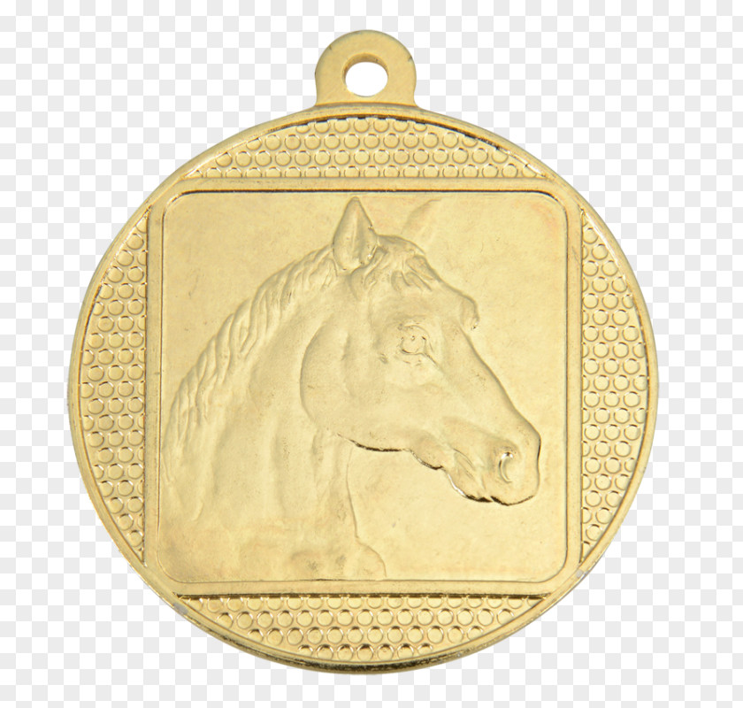 Gold Medal Coin Silver PNG