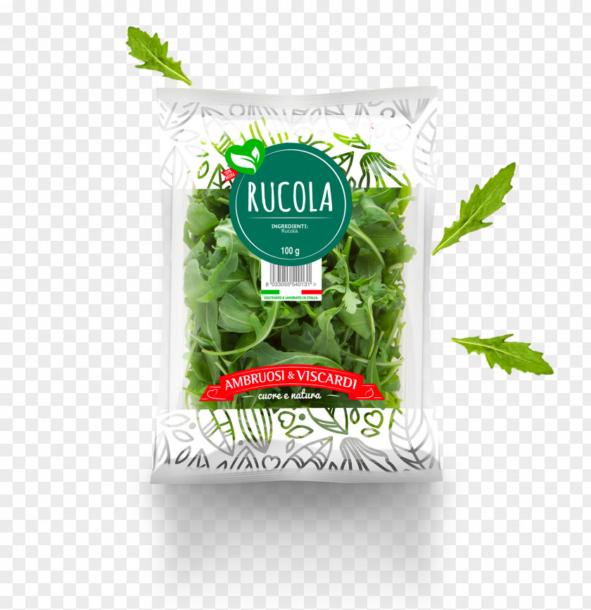 Vegetable Leaf Arugula Herb Salad PNG