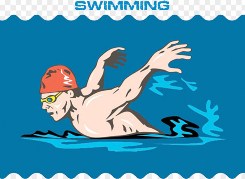 Swimming Competiton Mammal Text Human Behavior Clip Art PNG