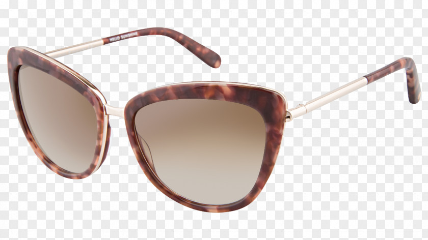 Kate Spade Sunglasses Ray-Ban Persol Christian Dior SE PNG