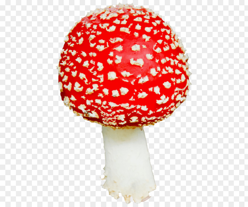 Mushroom Edible Clip Art Common PNG