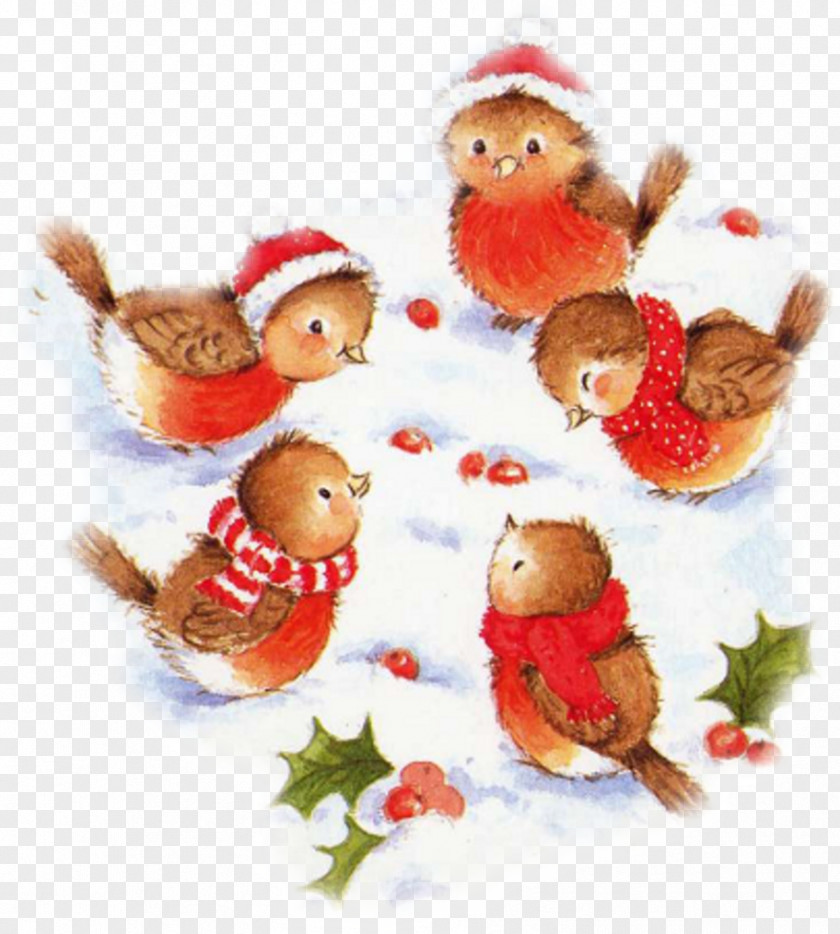 Santa Claus Christmas Day Image Illustration Photograph PNG