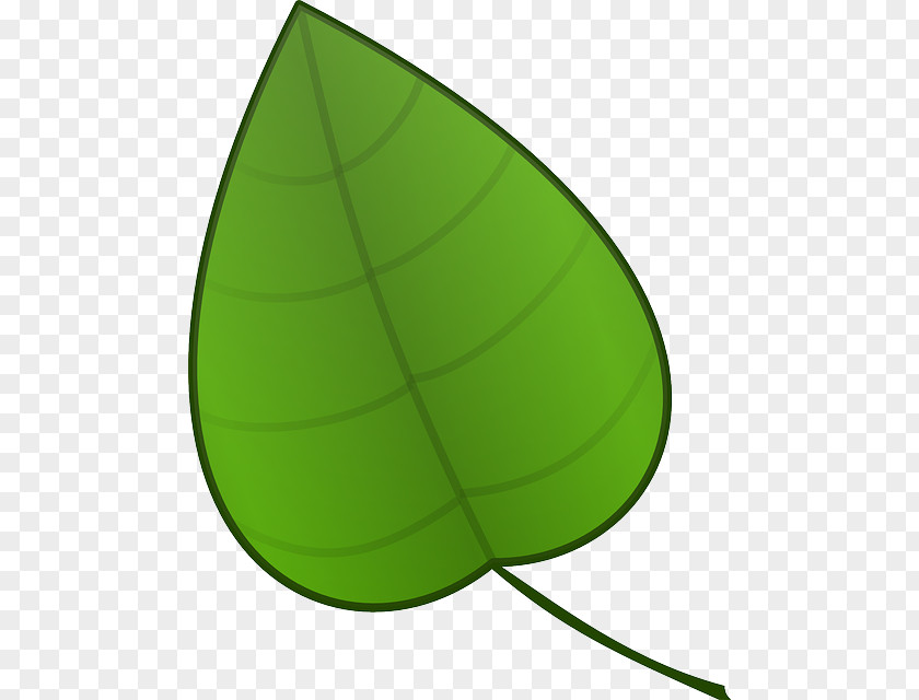 Acorn Forest Leaf Clip Art PNG