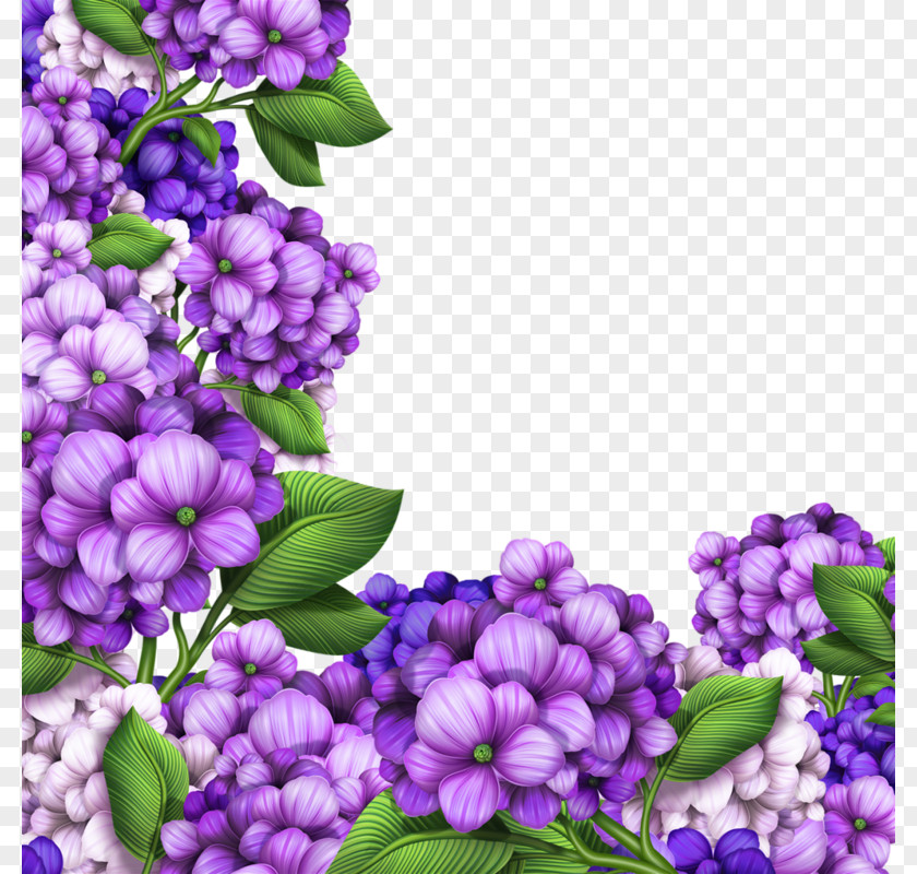 Beautiful Purple Border Hydrangea Flower Photography Royalty-free Clip Art PNG