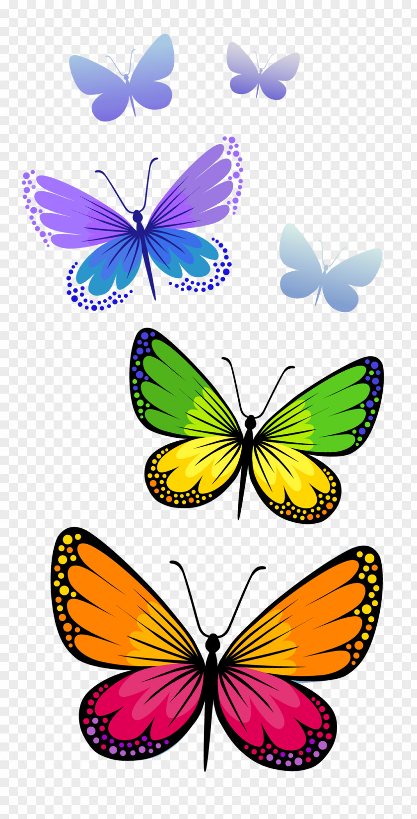 Butterflies Composition Clipart Image Butterfly Clip Art PNG