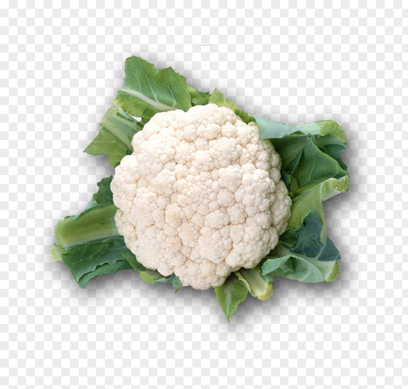 Cauliflower Savoy Cabbage Vegetable Take-out PNG