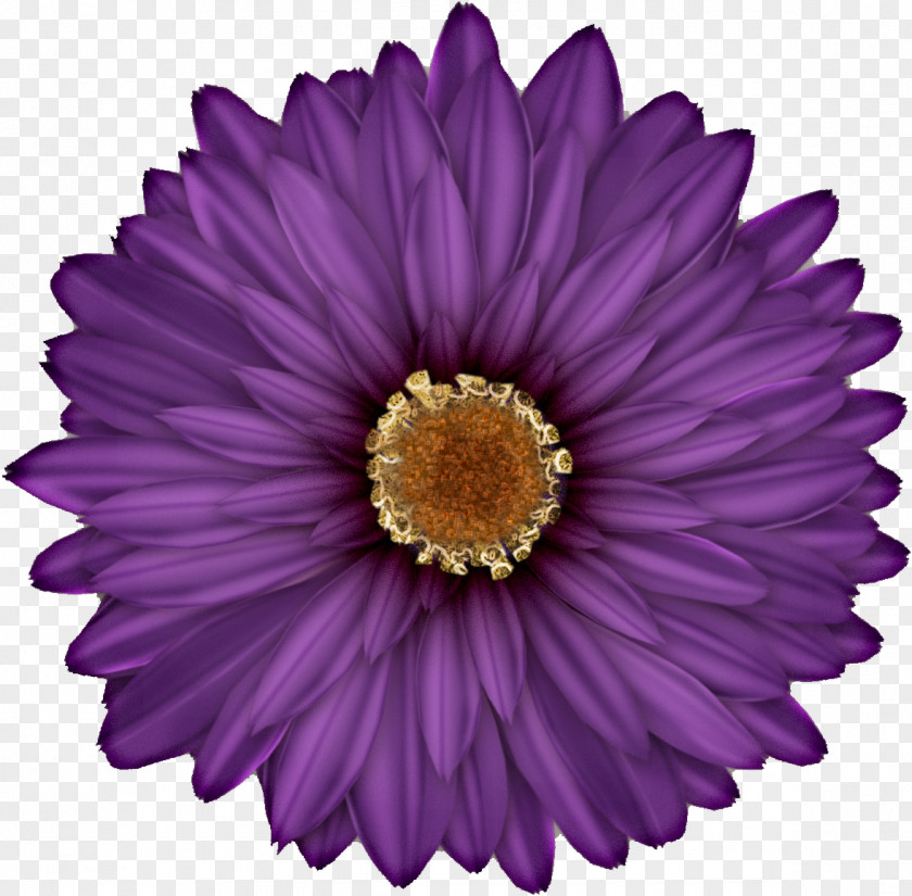 Kartikeya Blue Art Flower Clip PNG