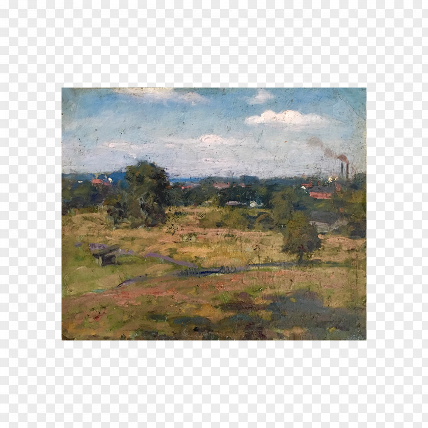 Painting Land Lot Shrubland Ecoregion Lawn PNG